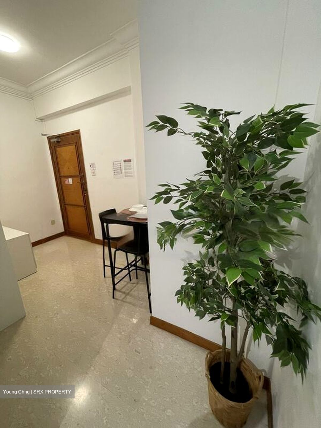 La Crystal (D9), Apartment #465687191